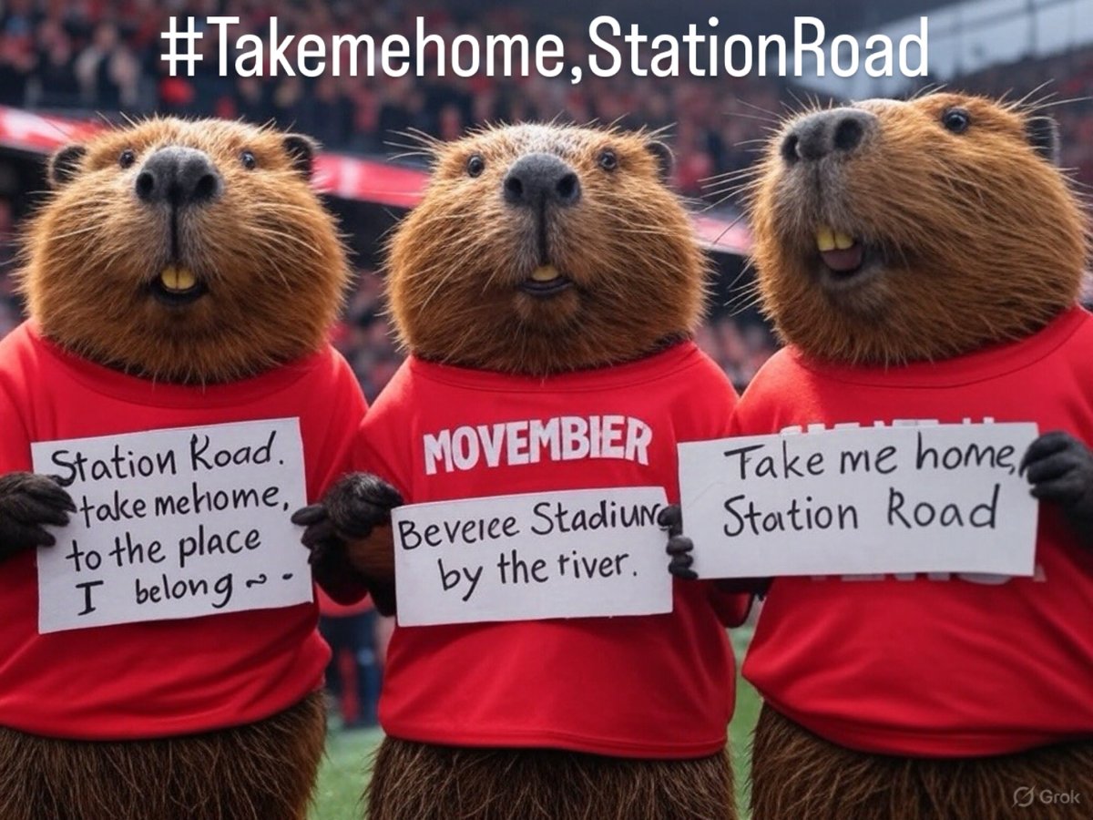 So although the season is almost over, after this week’s announcements Saturday signals a new start for HRBFC. 
We’ve averaged about 15 people belting out the players walkout song, “Station Road, take me home” at 2.57pm. 
Imagine what it would be like with 200 of us!

Who’s in?