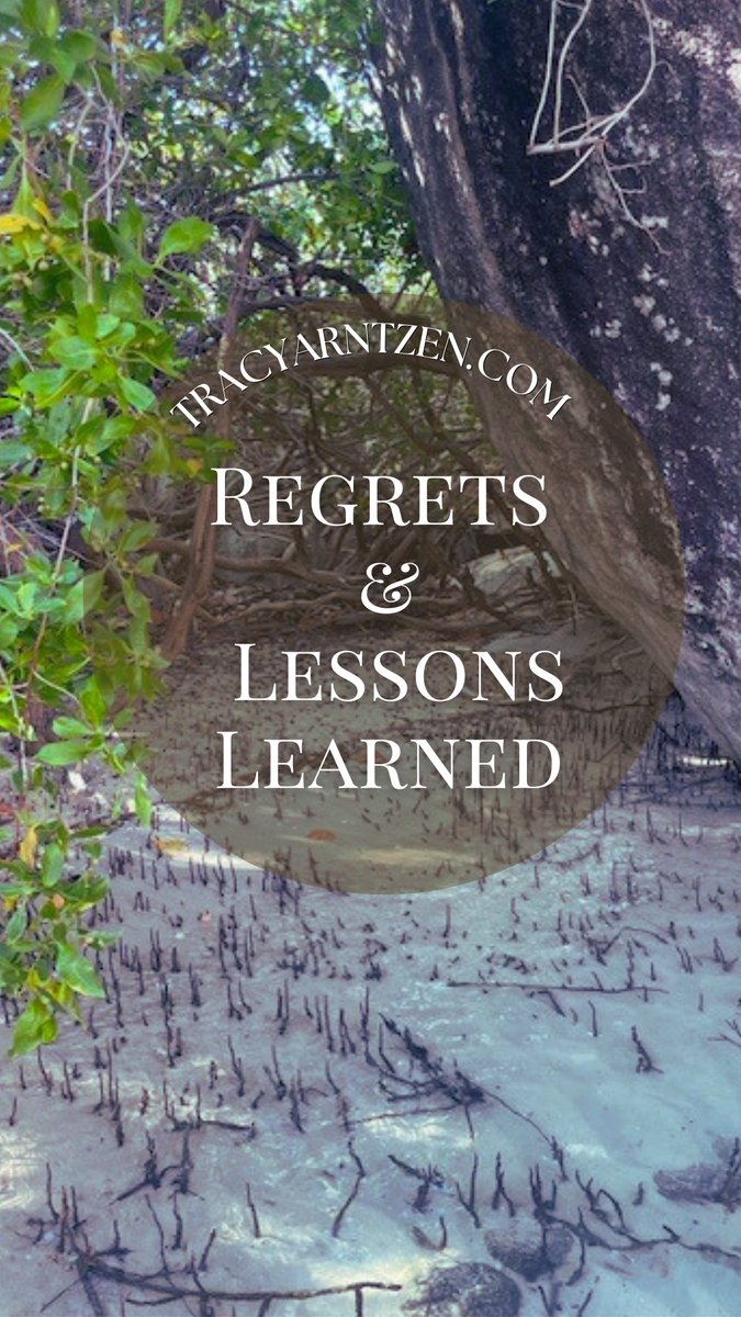 Tracyarntzen's tweet photo. "To regret is human"--in my latest devotion I focus on how regrets can harm us or offer us a chance to grow in our faith and relationships. Regrets &amp; Lessons Learned — We Pray Through | Tracy Arntzen https://t.co/kDlS7lwH8M