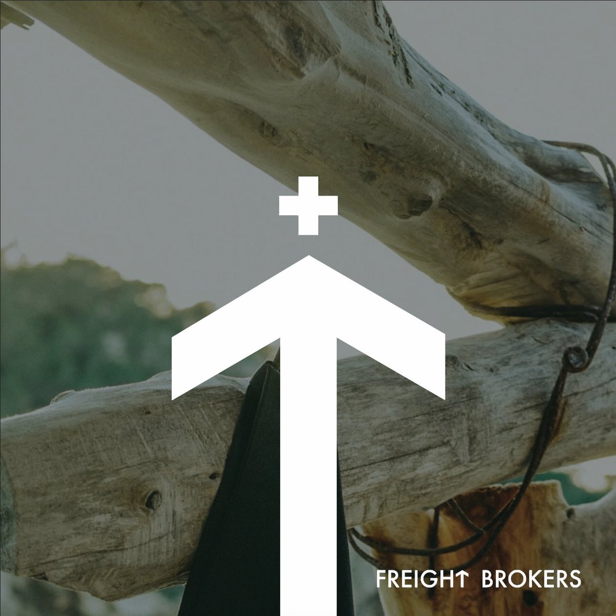 FreightBrokerss's tweet photo. Welcome to the @FreightBrokerss family!

@horacestudio are now shipping 250% climate positive 💚

Message us to find out how you can join the #ClimatePositiveRevolution https://t.co/TVOlIUMhJd