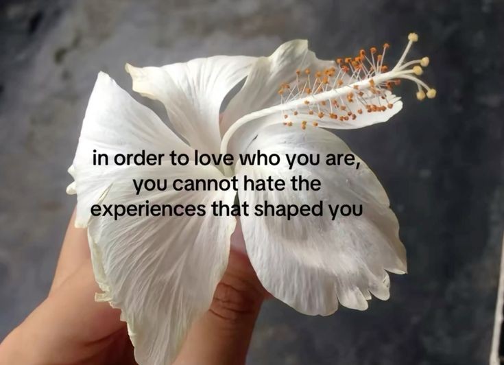 Synexdoche (@amor_fatti) on Twitter photo 