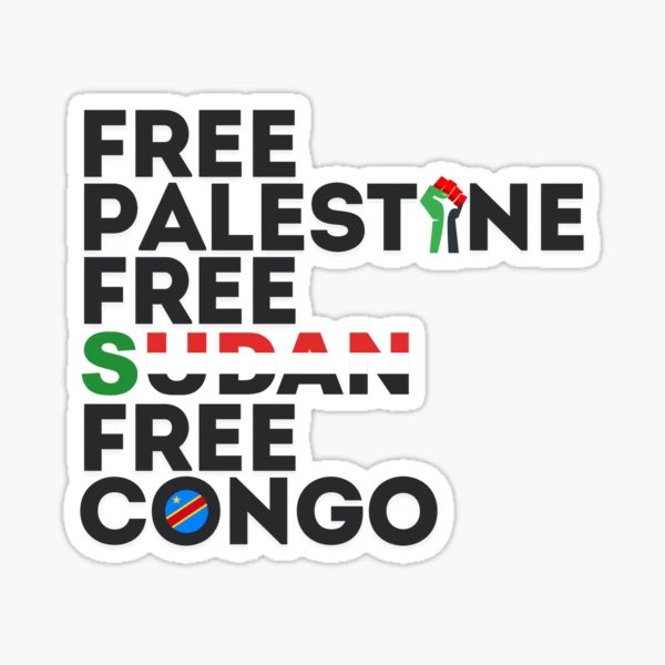 HeyImReallyDrew's tweet image. So today I am encouraging people to donate to organizations helping people in Congo, Sudan and Palestine. I’m listing 3 organizations and encouraging 3 donations of 5-10 dollars or more. Please share this thread and assist if you can!