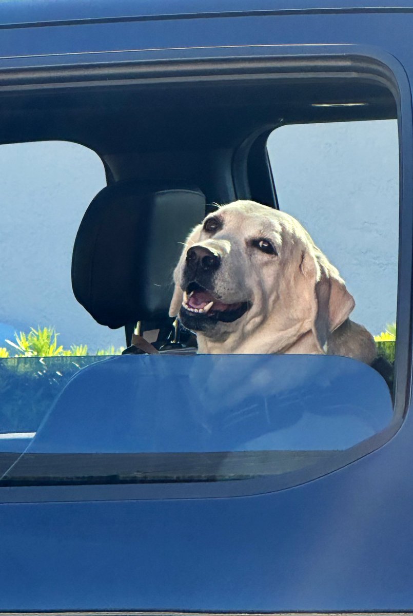 FlyingSquirrlle's tweet photo. Get in loser we’re going boating! https://t.co/1TacM4CSfP
