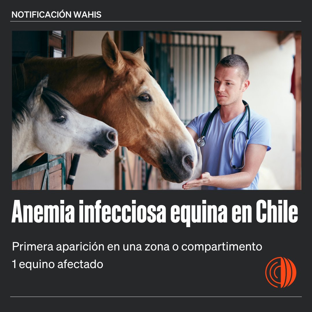 Organización Mundial de Sanidad Animal - Americas tweet media