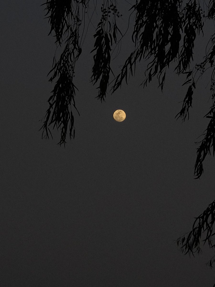 The moon is so beautiful, isn't it?