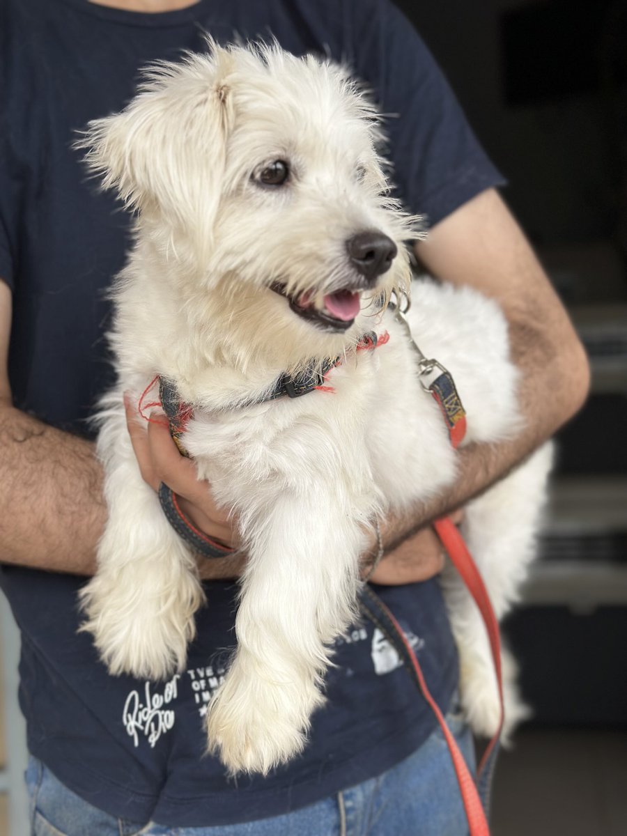 Have you visited the vet for your Pet’s annual Rabies vaccination?
Book Now: +256 780 301 745