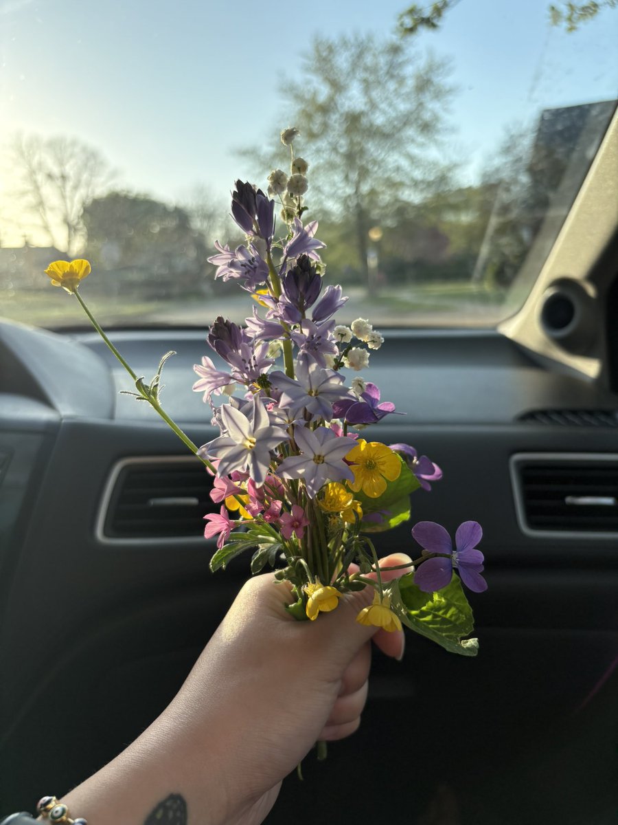 camille__ET's tweet photo. tiny bouquet of wildflowers from my walk the other day 🌸🌼🌿 https://t.co/9TXSPrTHYQ