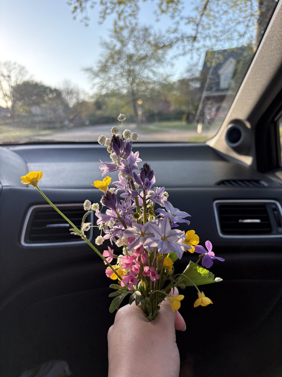 camille__ET's tweet photo. tiny bouquet of wildflowers from my walk the other day 🌸🌼🌿 https://t.co/9TXSPrTHYQ