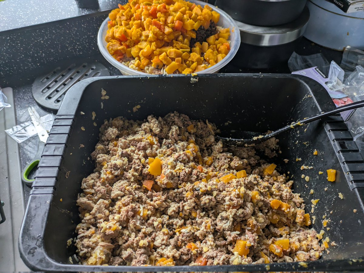 💔Ex Minister4BanditsWhims💔Now Broc's Goffar tweet media