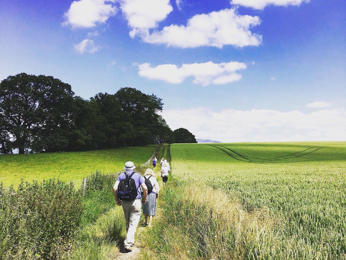 Champing tweet media