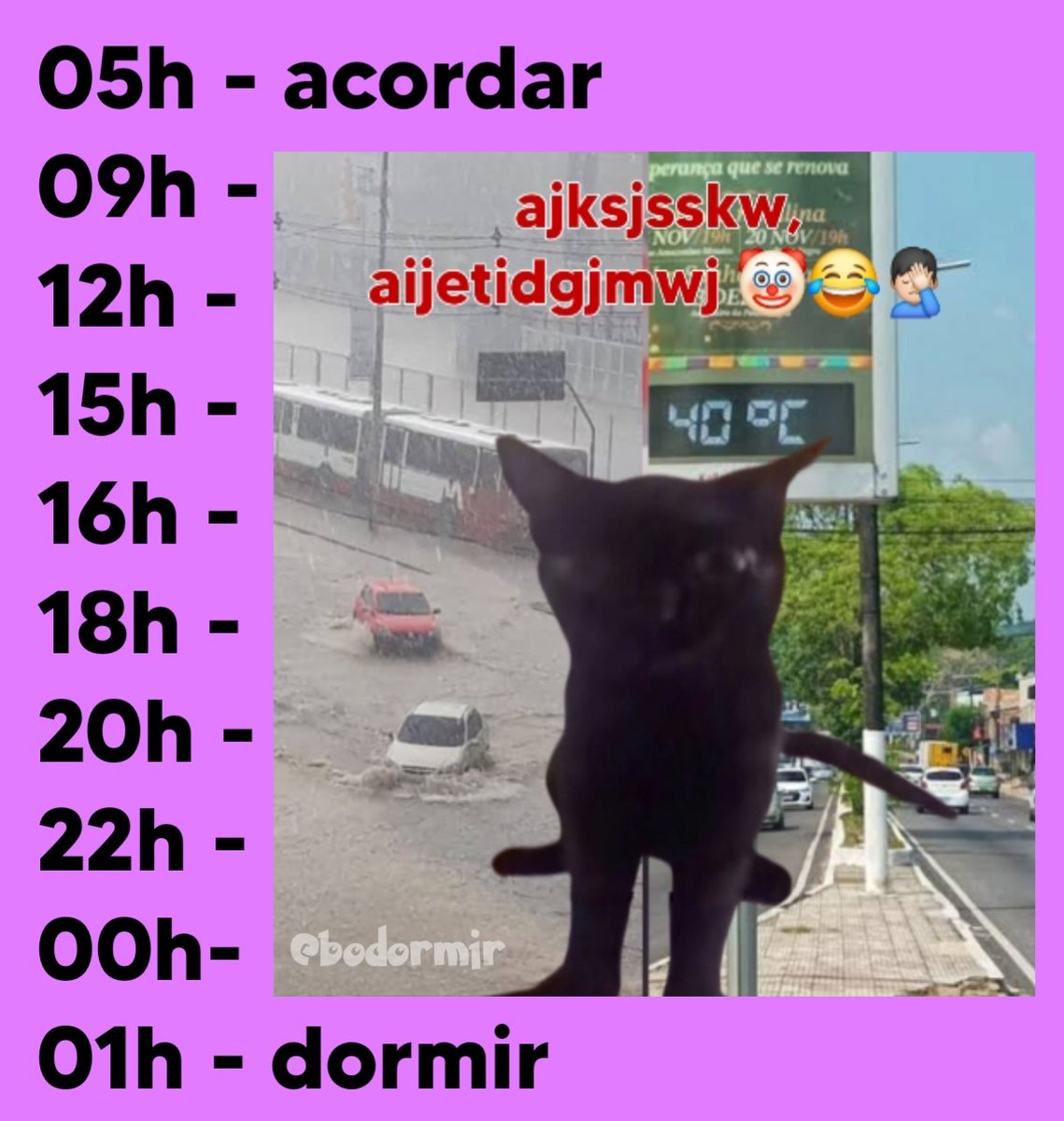 as vezes, dois kikães is janta🛌💤 (@bodormir) on Twitter photo 