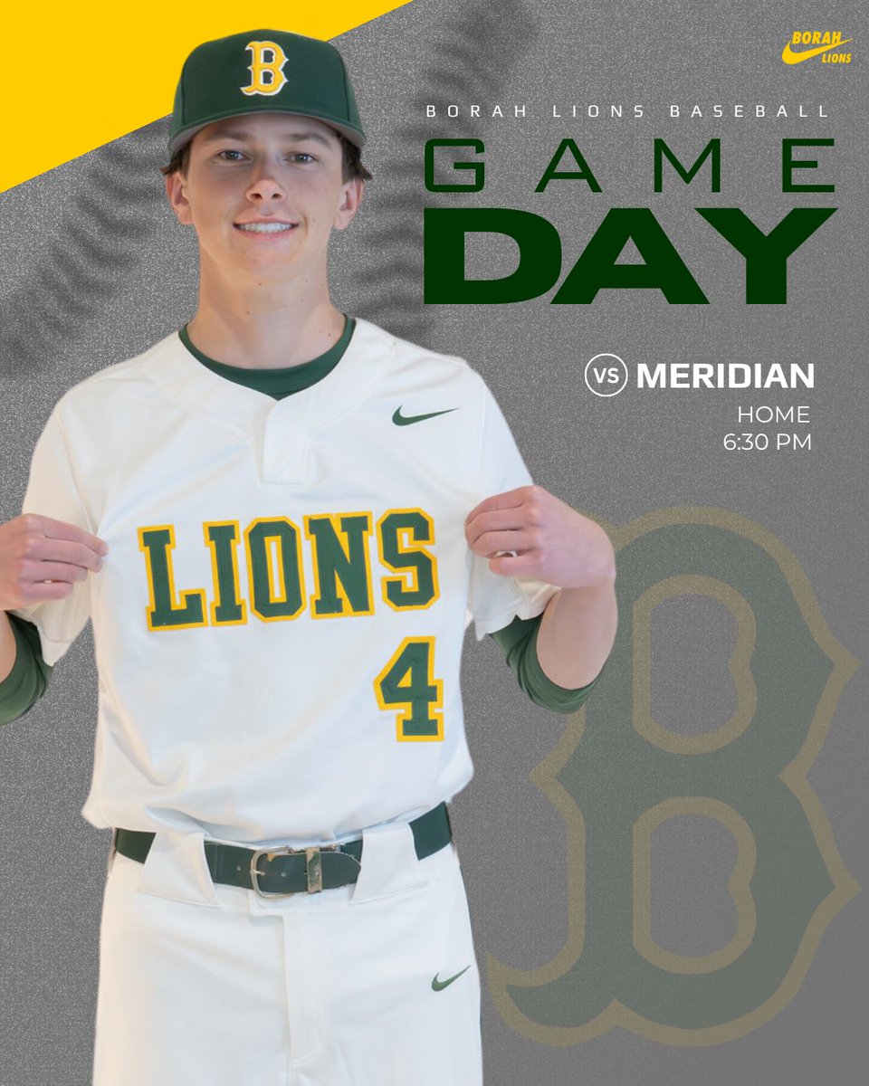 Borah Baseball tweet media