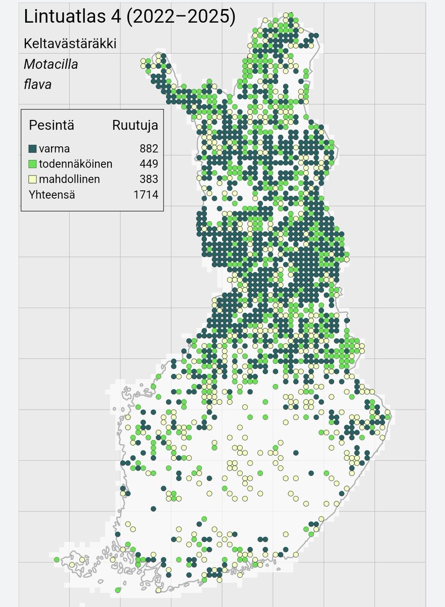 Heidi Björklund 🌻 (@bjorklund_heidi) on Twitter photo Neljäs lintuatlas (2022–25) tuottaa tietoa pesivien lintulajien levinneisyydestä Suomessa. Alla on keltavästäräkin atlaskartta. Miltäpä näyttää? Pohjoinen laji kyseessä?
Tietoja kannattaa vertailla aiempiin atlaksiin, joista ensimmäinen on 1970-luvulta.
1/5 Neljäs lintuatlas (2022–25) tuottaa tietoa pesivien lintulajien levinneisyydestä Suomessa. Alla on keltavästäräkin atlaskartta. Miltäpä näyttää? Pohjoinen laji kyseessä?
Tietoja kannattaa vertailla aiempiin atlaksiin, joista ensimmäinen on 1970-luvulta.
1/5