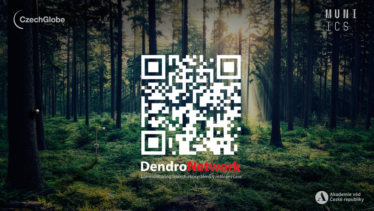 czechglobe_xylo's tweet photo. 📢Over 80% of Czech forest 🌲ecosystems are experiencing #drought stress, as shown by tree water deficit measured via dendrometers. Not the best start to the growing season. Stay tuned with our real-time #biomonitoring system 📈 — #DendroNetwork - https://t.co/TRHdxW1Imn https://t.co/NvbZBqvwJ6
