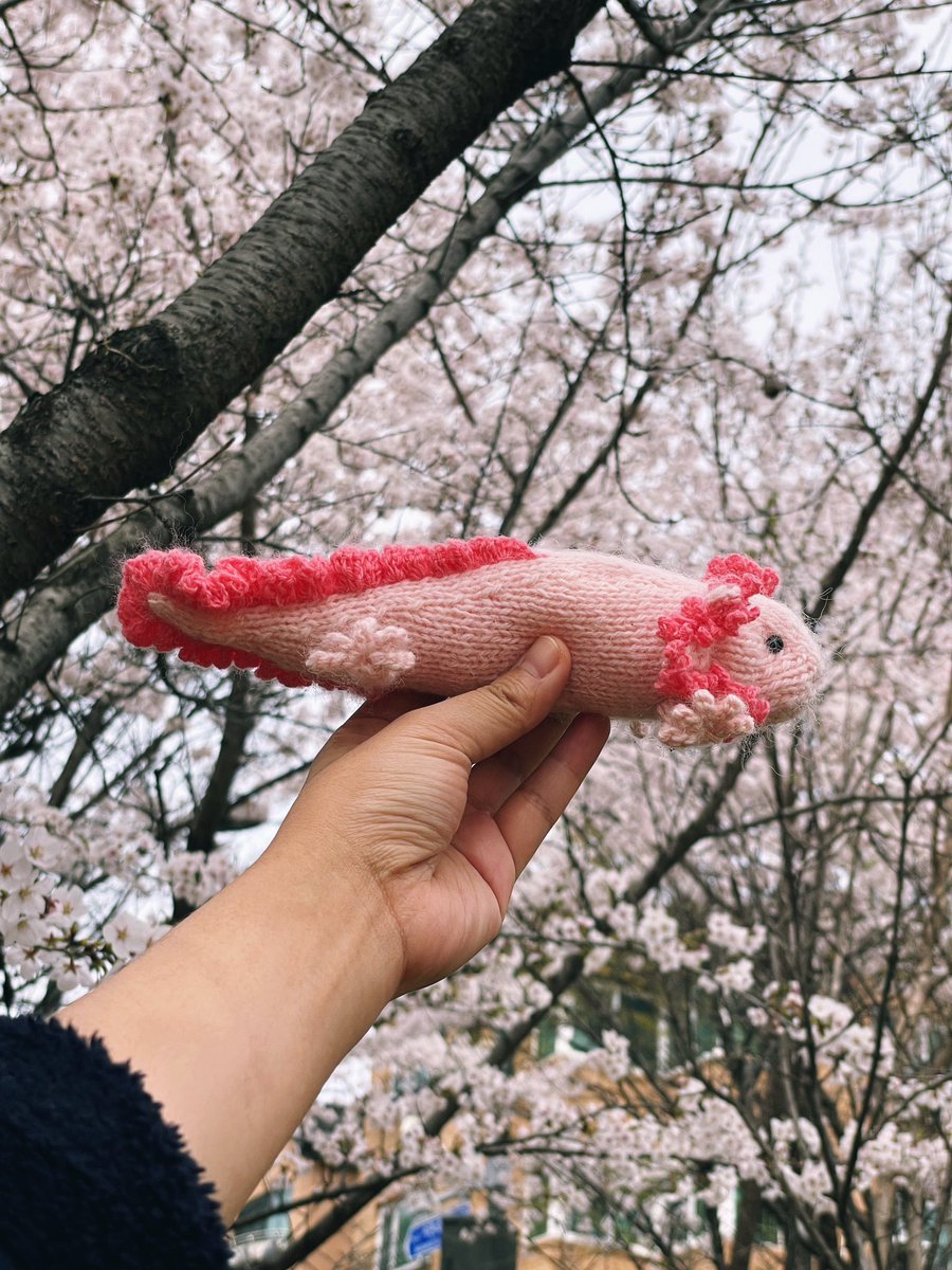 holloknit's tweet photo. [우파루파 RT이벤트] 
4/13 10시 발표, 5명 뽑아서 제 도안 중 아무거나 하나 보내드려요!

🌷Pattern release day 우파루파
우파루파는 변하지 않기로 선택한 생명이래요. 요즘 저도 그런 생각을 하고 있습니다. 멈춘게 아니라 ‘나’로 남는 중 이예요🫶

도안👉 https://t.co/HIAoxm9sEE https://t.co/PhSpE8XXpS