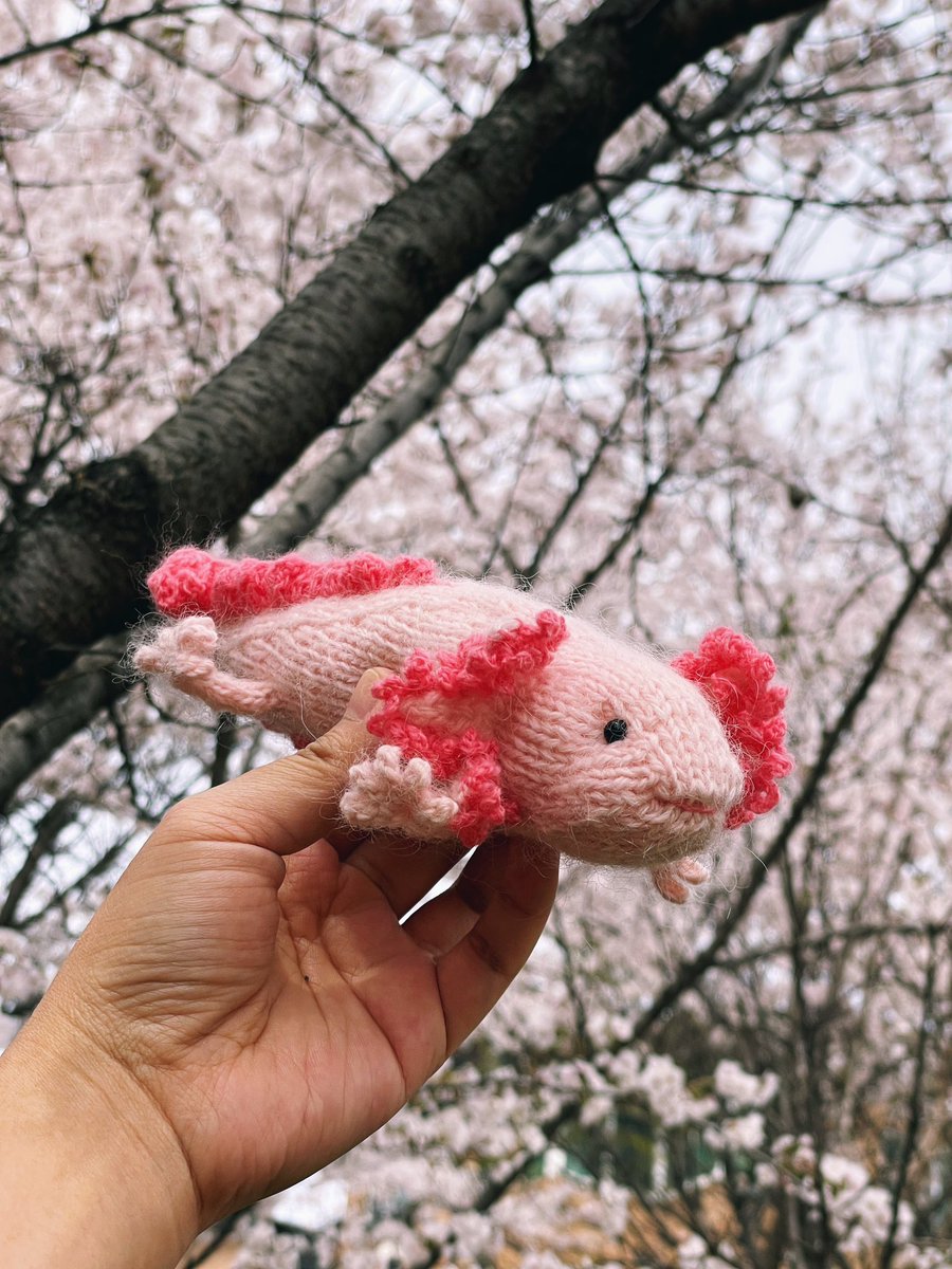 holloknit's tweet photo. [우파루파 RT이벤트] 
4/13 10시 발표, 5명 뽑아서 제 도안 중 아무거나 하나 보내드려요!

🌷Pattern release day 우파루파
우파루파는 변하지 않기로 선택한 생명이래요. 요즘 저도 그런 생각을 하고 있습니다. 멈춘게 아니라 ‘나’로 남는 중 이예요🫶

도안👉 https://t.co/HIAoxm9sEE https://t.co/PhSpE8XXpS