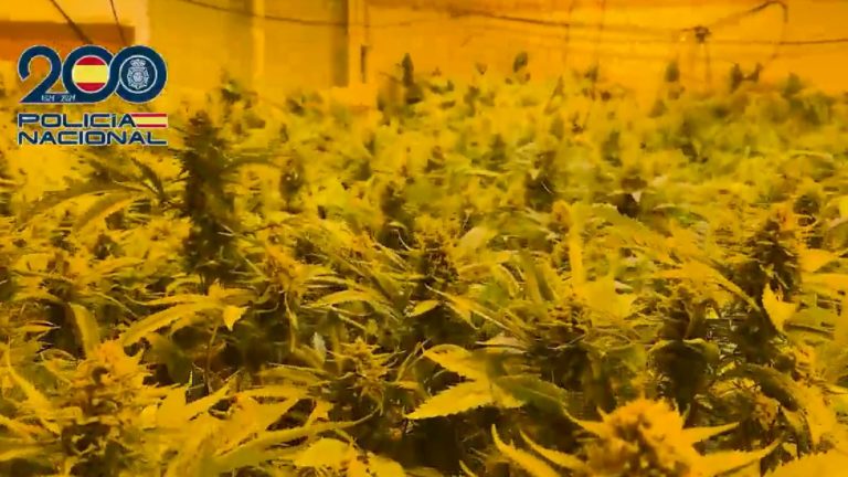 narcodiario's tweet photo. Se creían impunes en #pechina #almería . 49 registros en un pueblo de 4.000 habitantes acabaron con el dominio del #narco en la zona. Vendían armas a gran escala y producían #droga, siempre en conexión con otros puntos de #españa y #Europa . VÍDEO 📹 📼
https://t.co/VDWk91nrN5 https://t.co/lOGqTCTRp9