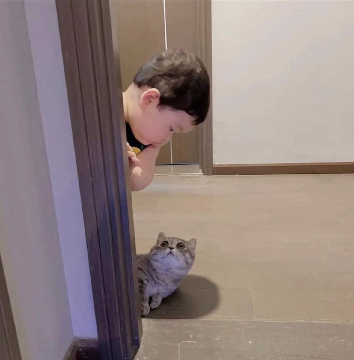 animalkyat's tweet photo. ひょっこり顔を出したら同じポーズになってしまった猫と子供 https://t.co/YxJkkhm02D