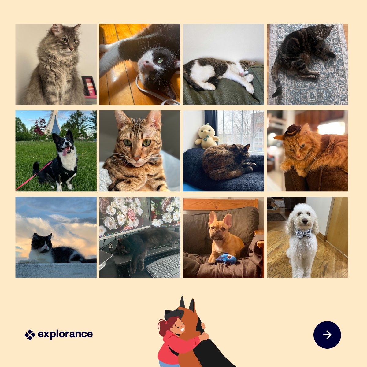 explorance's tweet image. Happy #NationalPetDay from pet friends of Explorers worldwide! Our pets provide unconditional support as we work to transform #FeedbackAnalytics into action—check out the carousel of #Explorance companion animals and share a photo of your own workplace buddy in the comments! 😍
