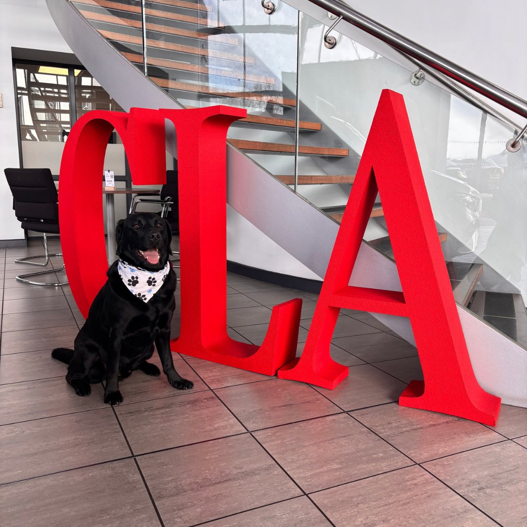 Wishing all of our furry friends a paw-some National Pet Day! 🐾

#nationalpetday #mercedesbenz #amg #mercedesamg #newcar #dog