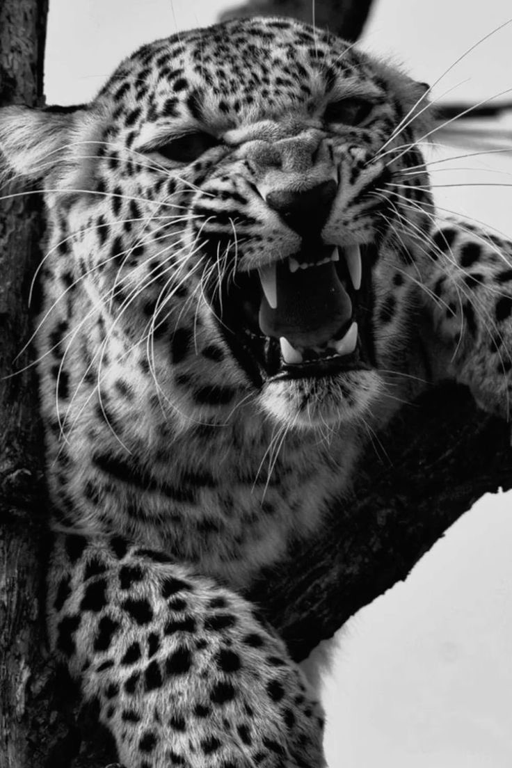 Blessed (@idblessd) on Twitter photo 