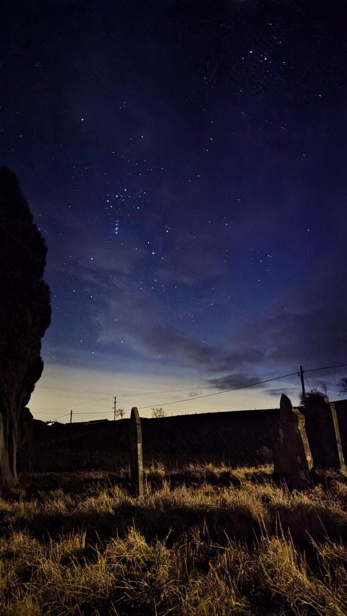 Champing tweet media