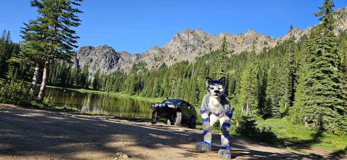 Dirty Paws tweet media