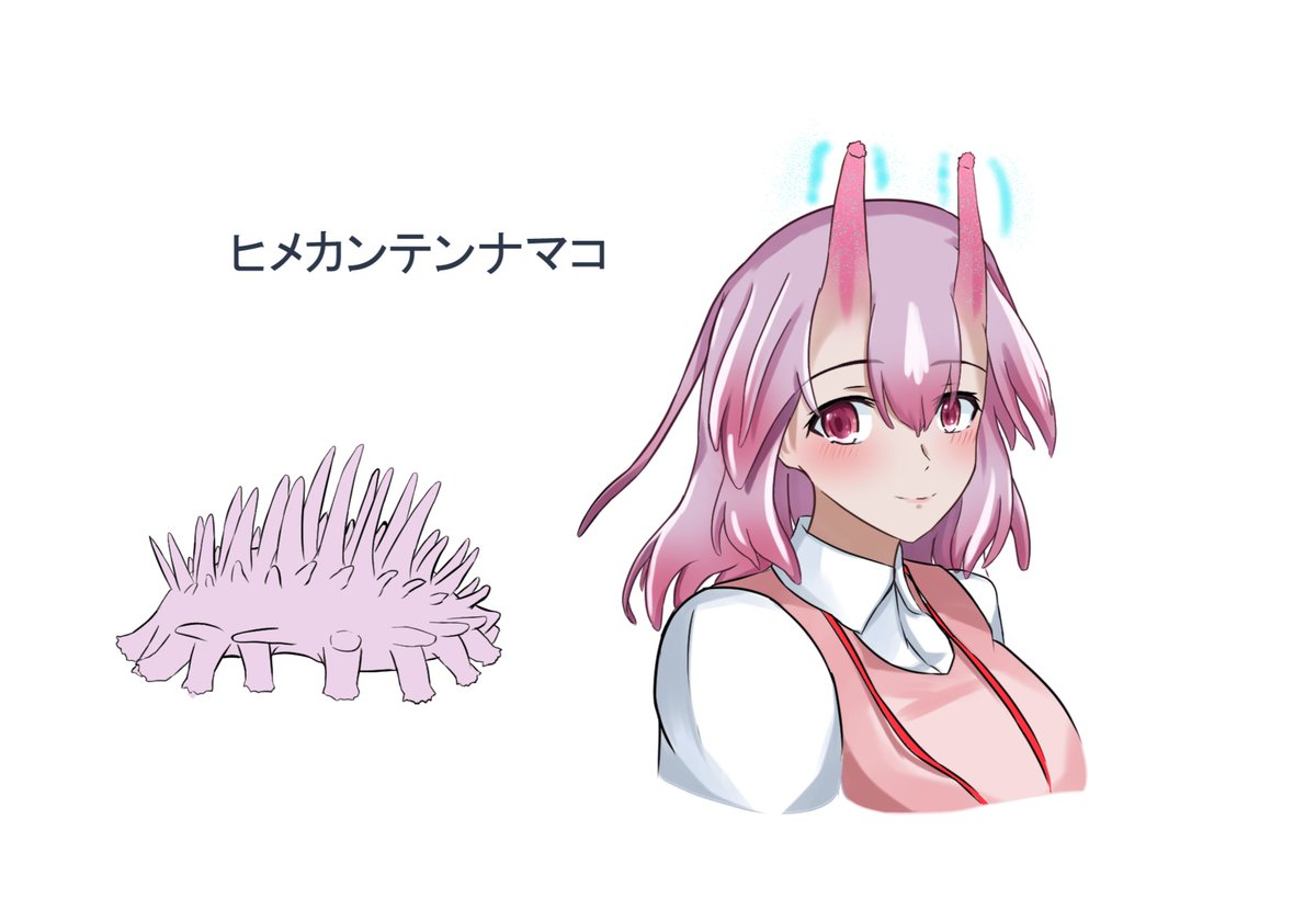 「OCうちの子ヒメカンテンナマコの擬人化です 」|リトスノ@新刊委託中のイラスト