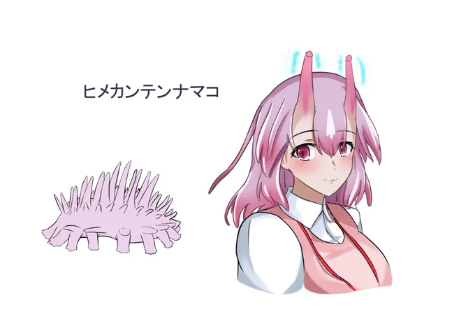 OCうちの子ヒメカンテンナマコの擬人化です 