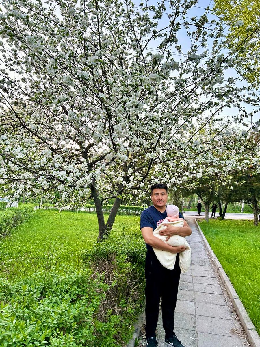 Гүлдөгөн дарак көрсөм эле сүрөткө түшкүм келип калды. Карылык)