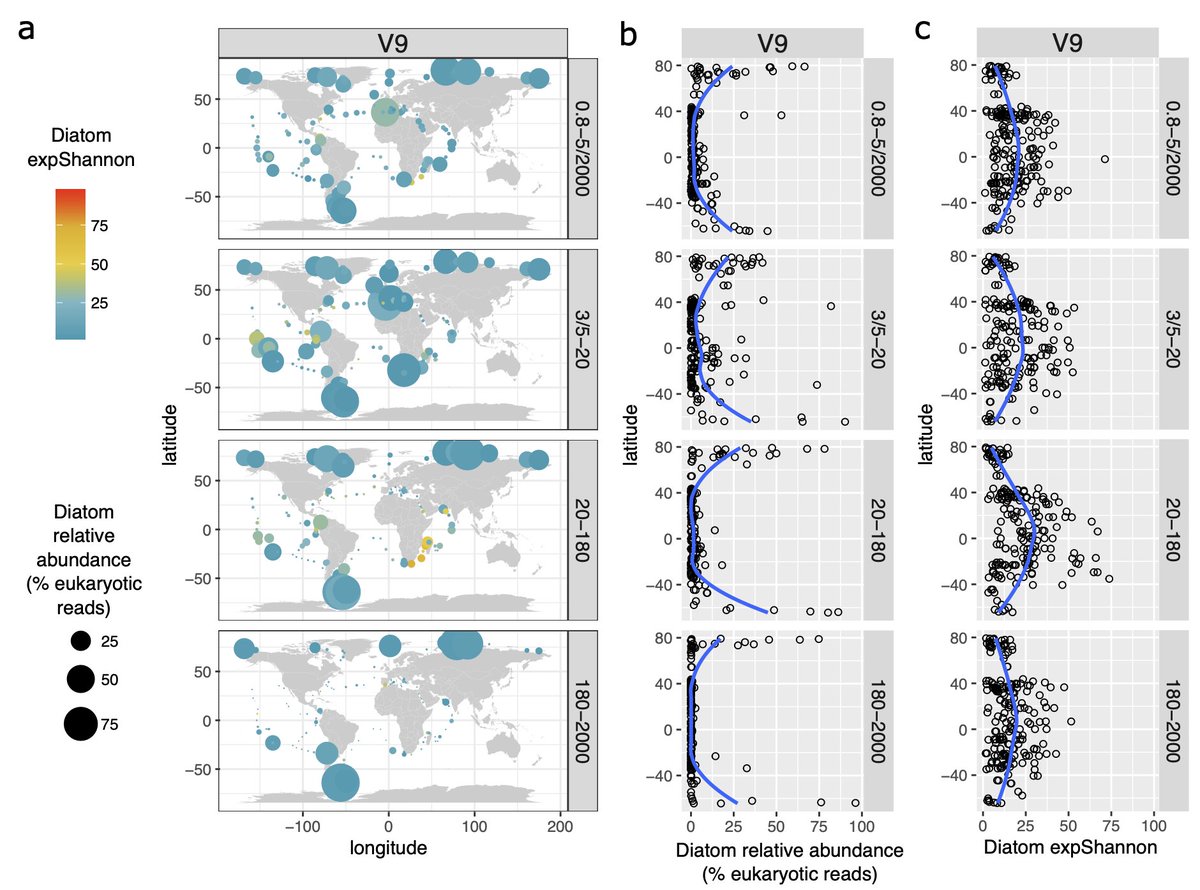 Patterns and drivers of diatom diversity andabundance in the global ocean rdcu.be/ehlG4