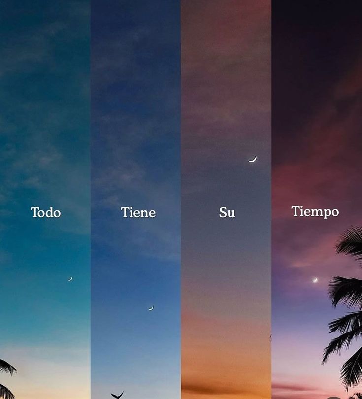 hombres's tweet photo. Absolutamente todo. https://t.co/ismZn2zuR2