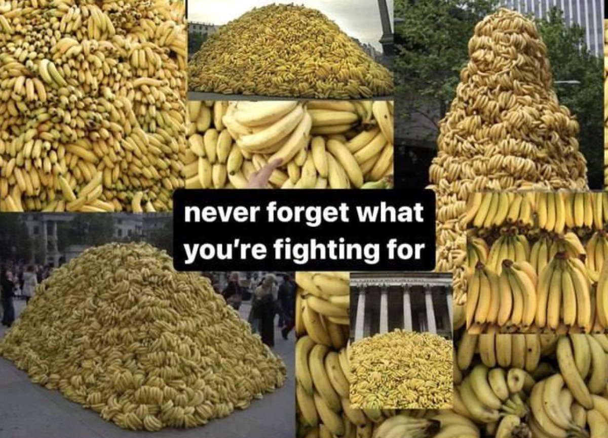 BananaStandSOL's tweet photo. NEVER FORGET! https://t.co/f4bVmsRDCR