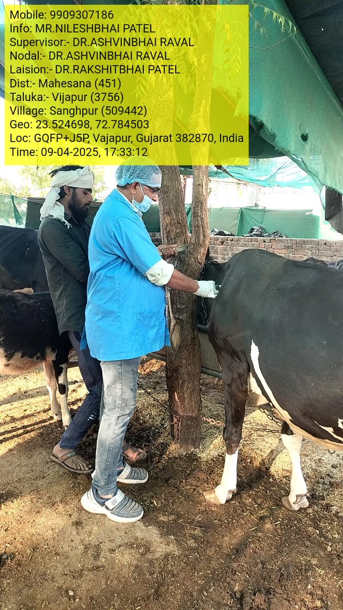 DDAHMehsana's tweet photo. ખરવા મોવાસા રોગ નિયંત્રણ કાર્યક્રમ, NADCP 6th Round અંતર્ગત મહેસાણા જિલ્લામાં ગાય-ભેંસ વર્ગના પશુધનમાં રસીકરણની કામગીરી.
#AnimalCare #LHDCP #NADCP #AnimalVaccination #DPMehsana
@CollectorMeh @ddo_mehsana @Dept_of_AHD https://t.co/w04TiXawIu
