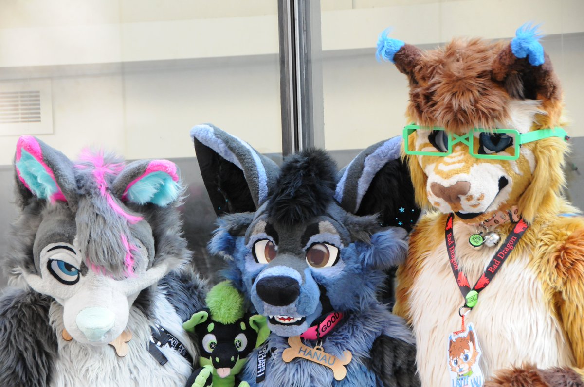 Latte Mau (@lattemau) on Twitter photo It wouldn't be a #FursuitFriday without some fluffiness at display
w/ <a href="/SilverCruxx/">Crux Wusky</a> and their 💍 Hanau
📷 my sister It wouldn't be a #FursuitFriday without some fluffiness at display
w/ <a href="/SilverCruxx/">Crux Wusky</a> and their 💍 Hanau
📷 my sister
