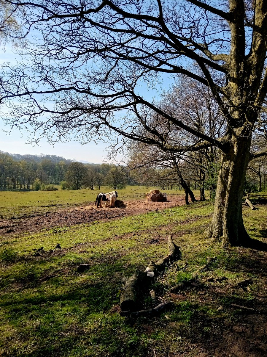 Tinalouisereads's tweet photo. Today's daily walk #baggeridge #sedgley https://t.co/ufpRIQC9o8