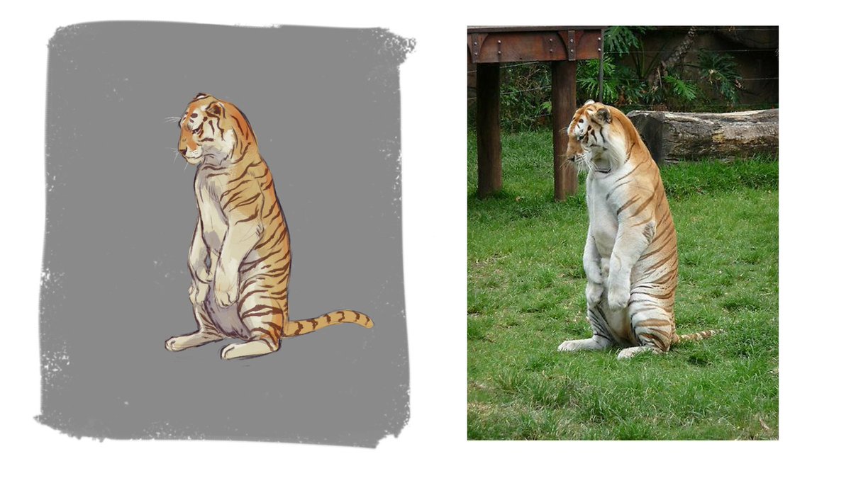 jelly_tears tweet media