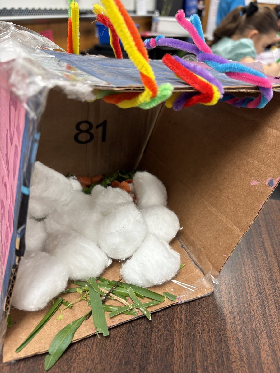 Mendoza2ndWells's tweet image. Problem:  we have wild bunnies who do not have safe places to keep their babies!
Solution: build bunny houses so babies will be safe! 🐰🐰🐰#module10hmh #inquiryproject
@CFISDPK1 @CFISDWells