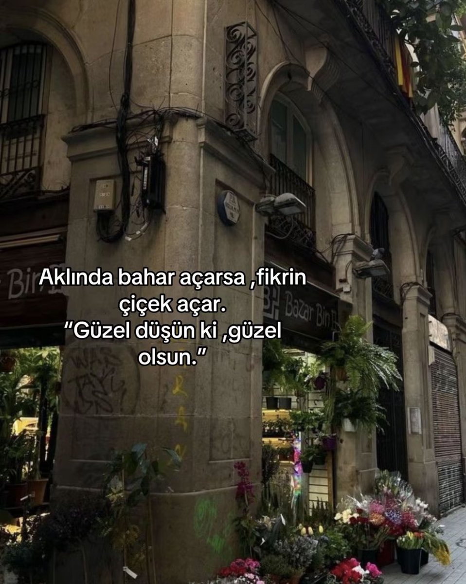 Doğa (@bizbitikya) on Twitter photo 