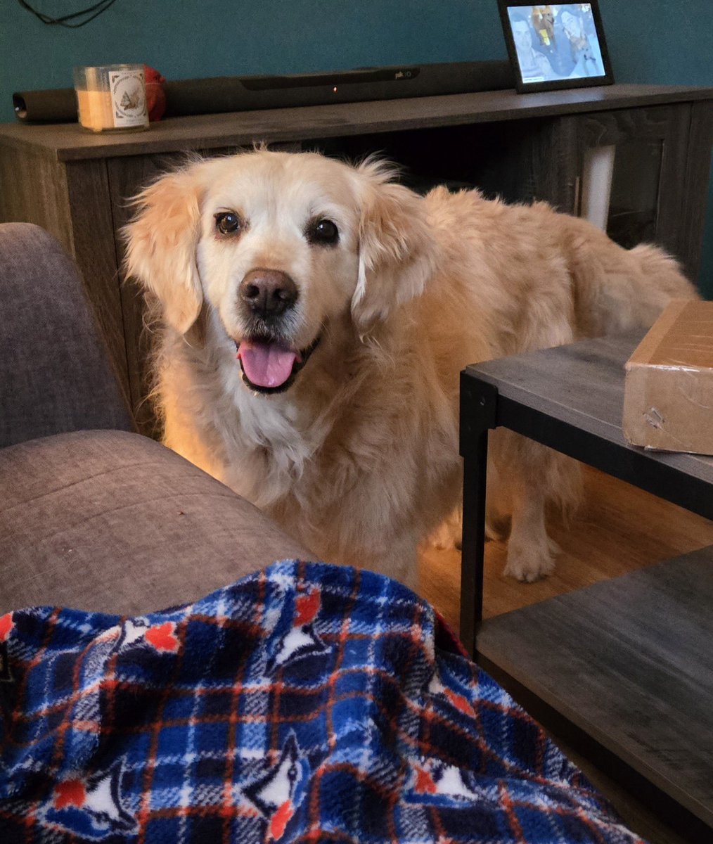 Courtney, Gracie & Patrick 🇨🇦🍁⚾️🌸🌱 tweet media