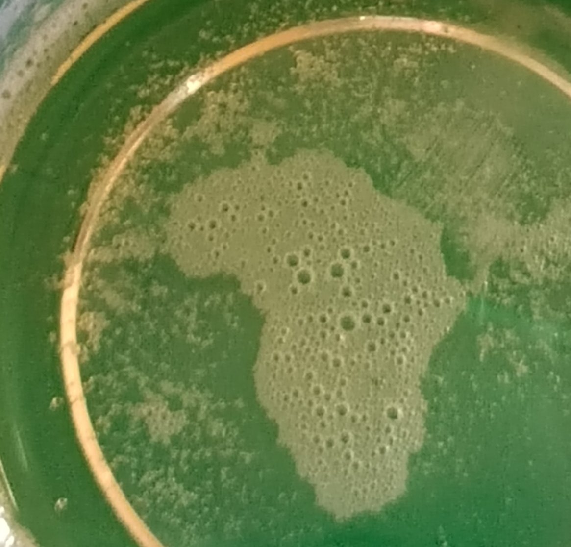 Africa 🌍🔥♥️ proud to be African