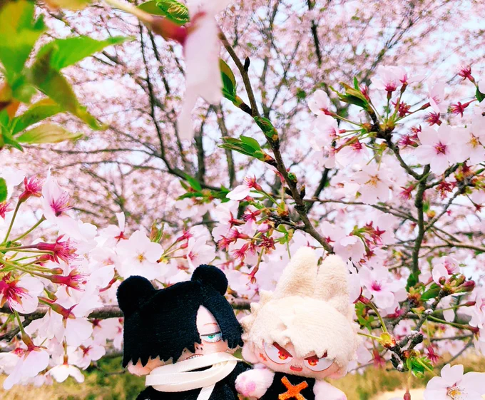 相爆