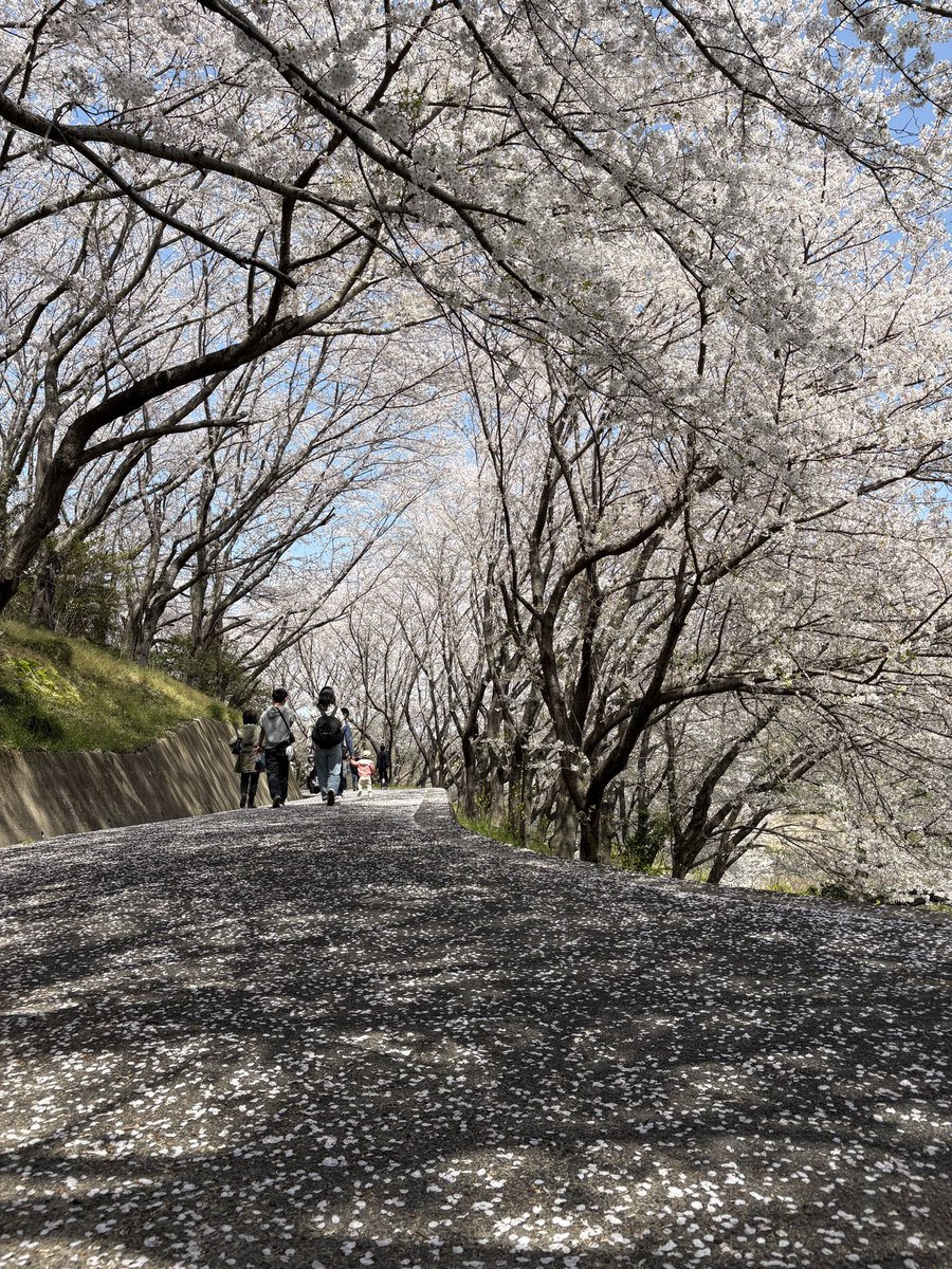 桜の撮影に行ってきた！！
と言っても先週ですが・・・
バタバタしてて編集ができてない💦
この土日でやりまーす！！
#桜