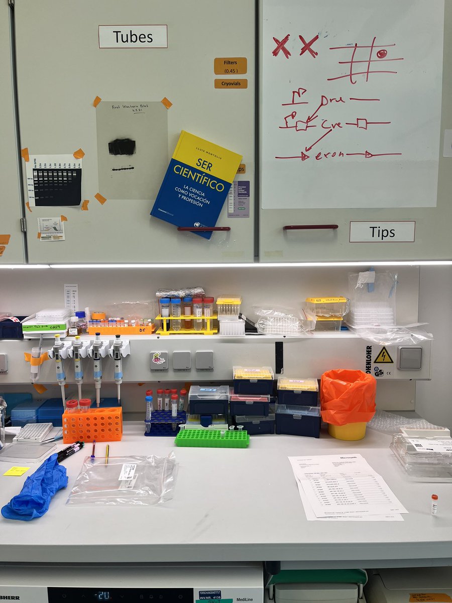 Davide Seruggia (@dseruggia) on Twitter photo There are protocols about becoming a scientist, that you cannot find in the Maniatis. But you can can find them in the new book by <a href="/LluisMontoliu/">Lluis Montoliu</a> 🎉🎉 There are protocols about becoming a scientist, that you cannot find in the Maniatis. But you can can find them in the new book by <a href="/LluisMontoliu/">Lluis Montoliu</a> 🎉🎉