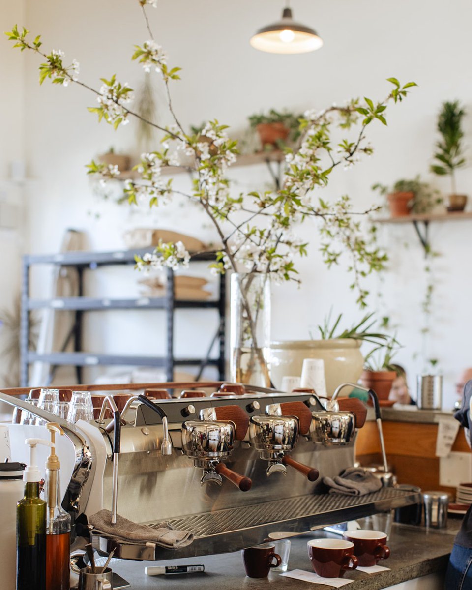 slayerespresso's tweet photo. Located inside of a bright and airy historical building in the heart of Kelowna's Arts & Cultural district, SPROUT is home to incredible bread and specialty coffee
Find them on the In The Wild Map - https://t.co/DPh3SIkAXG 🔗
#SlayerEspresso #MakeCoffeeBetter #SlayerInTheWild https://t.co/L6EFXLKz6k