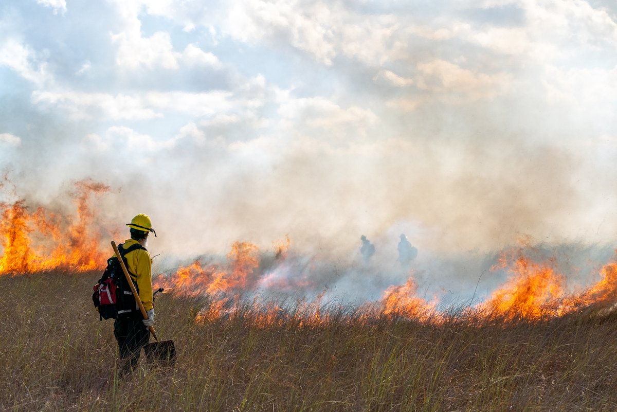 EvergladesNPS's tweet photo. ๐ฅ Itโs Florida Wildfire Awareness Week!
Peak season (AprโJun) is near, and 2025 is forecasted to have above normal wildfire potential.
Everglades used prescribed fire on 100K+ acres to reduce risk.
Stay fire aware.
๐ธ NPS Photo by Ian Wilson
#Everglades #NPSFire https://t.co/MJWDxZFMYB