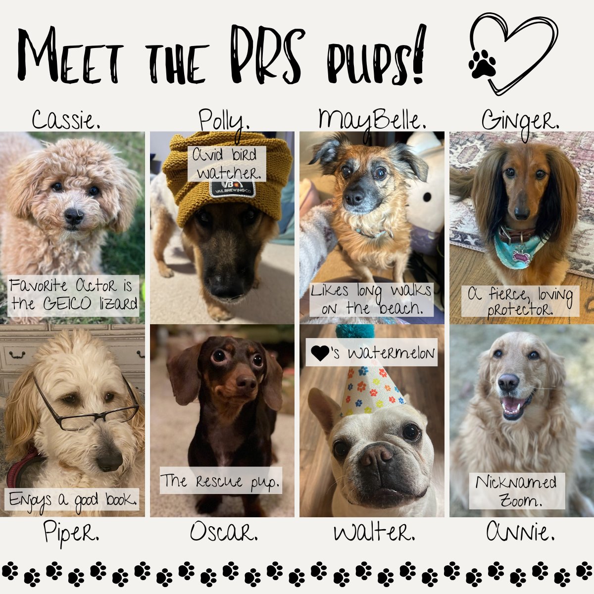 PRS_Recruiters's tweet photo. Happy National Pet Day! https://t.co/SLBerALrnr