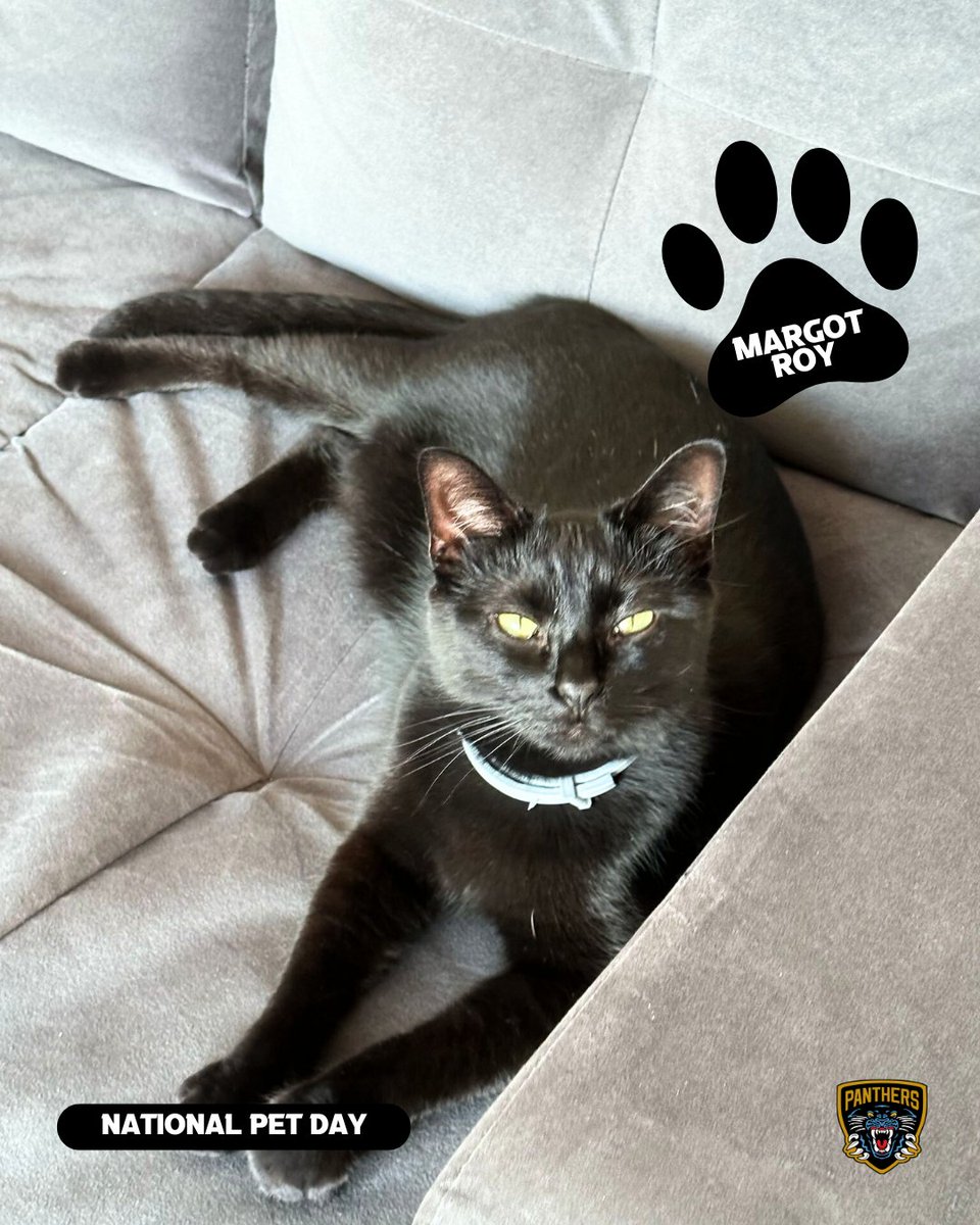 Nottingham Panthers tweet media