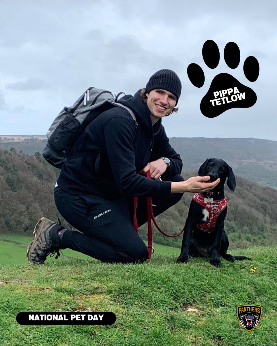 Nottingham Panthers tweet media