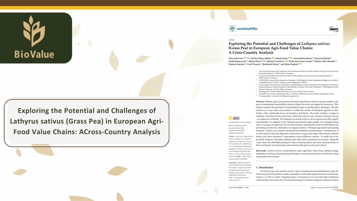 🌱New from #BioValue:
Can underutilized crops like grass pea (Lathyrus sativus) help transform Europe’s food systems?
✅ Climate resilient
✅ Organic-friendly
✅ Nutrient-rich
✅ Culturally versatile
Explore our latest findings 👉 mdpi.com/2071-1050/17/8…