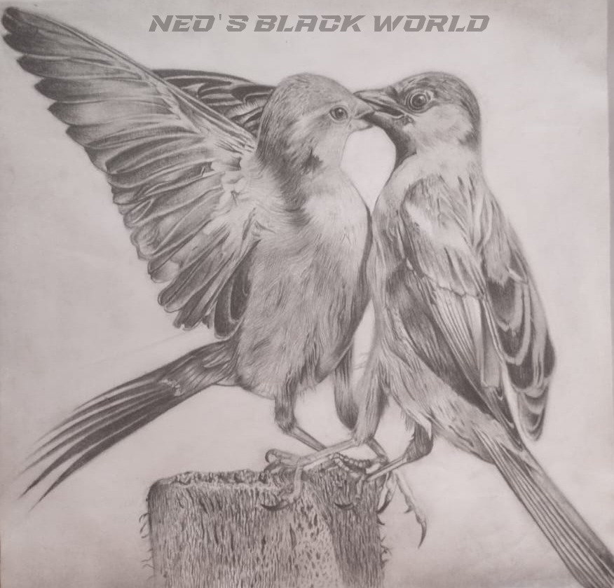 BaileyRave74172's tweet photo. Birds Drawing ❣️

#neotattoosmadurai #neoblackworld #neotattoos #madurai #charcoal #art #drawing https://t.co/viWlOG2yI9